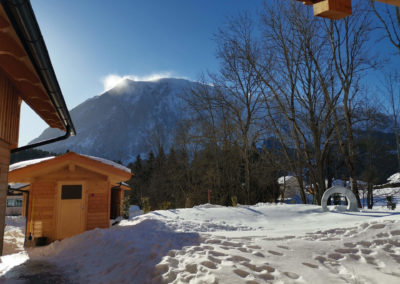 Chalet Tauplitz Apartments - Winter Grimming Staub