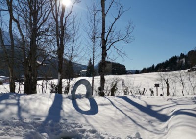 Chalet Tauplitz Apartments - Winter Teich Kulm